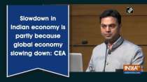 Slowdown in Indian economy is partly because global economy slowing down: CEA