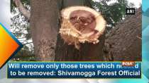 Will remove only those trees which needed to be removed: Shivamogga Forest Official