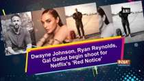 Dwayne Johnson, Ryan Reynolds, Gal Gadot begin shoot for Netflix