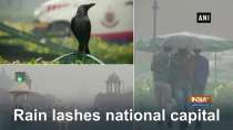 Rain lashes national capital