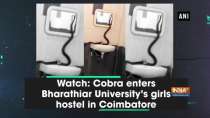 Watch: Cobra enters Bharathiar University