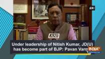 Under leadership of Nitish Kumar, JD(U) has become part of BJP: Pavan Varma