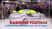 Kashmiri youth crafted fine-detailed car out of snow