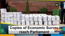Copies of Economic Survey reach Parliament