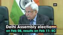 Delhi Assembly elections on Feb 08, results on Feb 11: EC