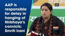 AAP is responsible for delay in hanging of Nirbhaya