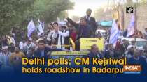Delhi polls: CM Kejriwal holds roadshow in Badarpur
