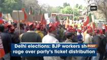 Delhi elections: BJP workers show rage over party