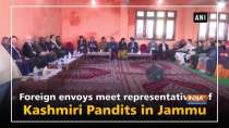 Foreign envoys meet representatives of Kashmiri Pandits in Jammu