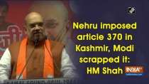 Nehru imposed article 370 in Kashmir, Modi scrapped it: Amit Shah