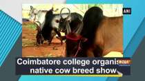 Coimbatore college organises native cow breed show