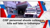 CISF personnel shoots colleague, kills self later in Udhampur