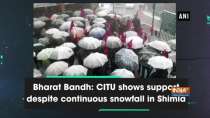 Bharat Bandh: CITU shows support despite continuous snowfall in Shimla