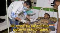 30 swine flu cases found positive in Telangana