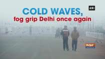 Cold waves, fog grip Delhi once again