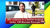 JNU violence is a fascist surgical strike: CM Mamata Banerjee