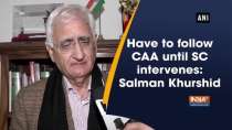 Have to follow CAA until SC intervenes: Salman Khurshid