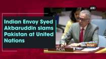 Indian Envoy Syed Akbaruddin slams Pakistan at United Nations