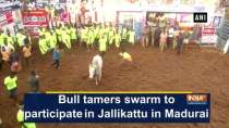 Bull tamers swarm to participate in Jallikattu in Madurai