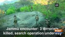 Jammu encounter: 3 terrorists killed, search operation underway