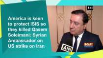 America is keen to protect ISIS so they killed Qasem Soleimani: Syrian Ambassador