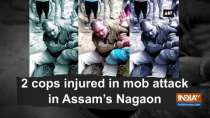 2 cops injured in mob attack in Assam