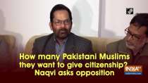 How many Pakistani Muslims they want to give citizenship?, Naqvi asks opposition
