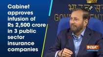 Cabinet approves infusion of Rs 2,500 crore in 3 public sector insurance companies