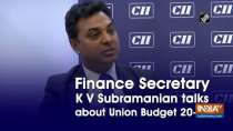 Finance Secretary K V Subramanian talks about Union Budget 20-21