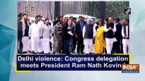 Delhi violence: Congress delegation meets President Ram Nath Kovind