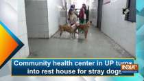 Community health center in UP turns into rest house for stray dogs