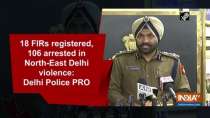 18 FIRs registered, 106 arrested in North-East Delhi violence: Delhi Police PRO