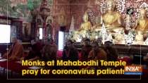 Monks at Mahabodhi Temple pray for coronavirus patients