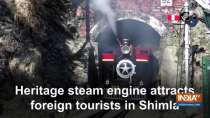 Heritage steam engine attracts foreign tourists in Shimla