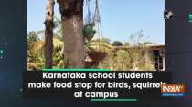 Karnataka school students make food stop for birds, squirrels at campus
