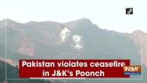 Pakistan violates ceasefire in Jammu and Kashmi
