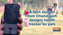 B-Tech student from Chandigarh designs health tracker for pets