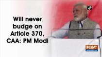 Will never budge on Article 370, CAA: PM Modi