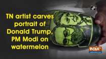 TN artist carves portrait of Donald Trump, PM Modi on watermelon