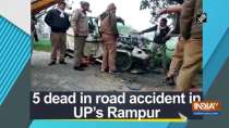 5 dead in road accident in UP