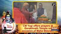 CM Yogi offers prayers at Gorakhnath Temple on occasion of Maha Shivratri