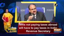 NRIs not paying taxes abroad will have to pay taxes in India: Revenue Secretary