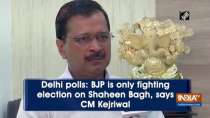 Delhi polls: BJP is only fighting election on Shaheen Bagh, says CM Kejriwal