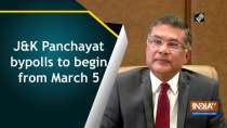 JandK Panchayat bypolls to be held from March 5-20: CEO