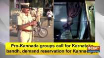 Pro-Kannada groups call for Karnataka bandh, demand reservation for Kannadigas