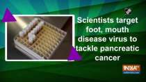 Scientists target foot, mouth disease virus to tackle pancreatic cancer