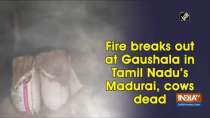 Fire breaks out at Gaushala in Tamil Nadu