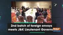 2nd batch of foreign envoys meets JandK Lieutenant Governor