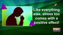 Like everything else, stress too comes with a positive effect!