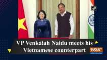 VP Venkaiah Naidu meets his Vietnamese counterpart